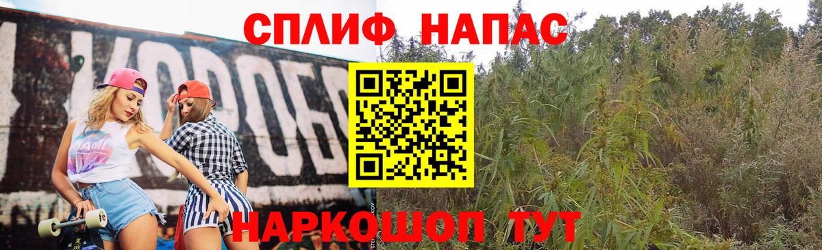 МАРИХУАНА конопля Топки